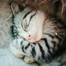 sigh yawn I AM sleepy its