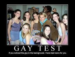 Gay-Test.com - The Gay Test