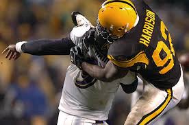 Linebacker James Harrison - via Daymix
