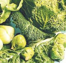Folic acid is already known to - via Daymix