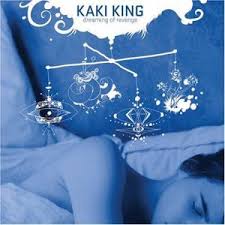 Kaki King Picture 3