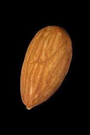 Specifications High quality almond