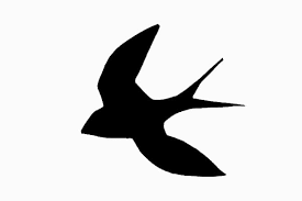 Computer Laboratory - Swallow