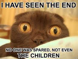 I'm posting an LOL Cat.