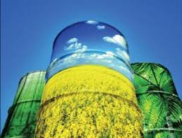biodiesel.jpg