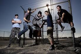 zebrahead.jpg