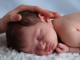 life—from newborns to - via Daymix