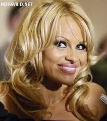   Pamela Anderson   wins although she s    