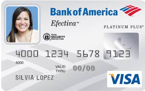 The cash back  credit card   works in a    