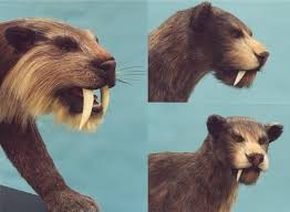   sabre    tooth cats  