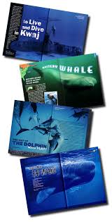       National Geographic Kids  