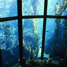 MONTEREY–SAN FRANCISCO - via Daymix