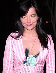 Bjork Picture 1