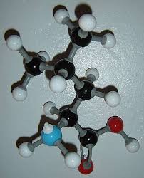 on the right is called Leucine