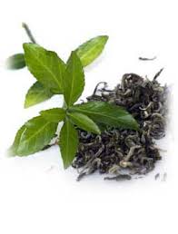 Losing Weight With Green Tea - via Daymix