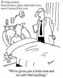      cat  scan  