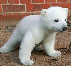 so cute!]