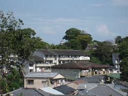 見城ミキ役の画像3