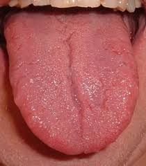Your 'Mystery' Taste  Receptor 
