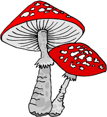 paddestoel