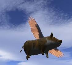 Flying  Pig   Brewing Co 