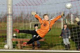 Youth soccer goalie goal - via Daymix