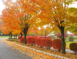 northern New Jersey. - via Daymix