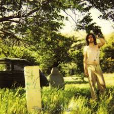   ARIEL   PINK x26 39 S  HAUNTED GRAFFITI   the    