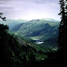 Alaska's rugged mystery. - via Daymix