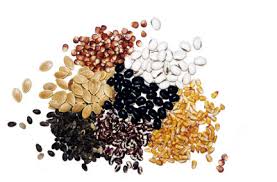 Hope Seeds is a - via Daymix