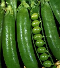 pisello