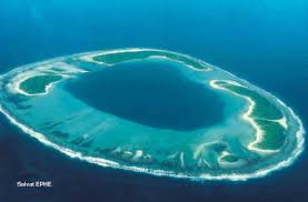   Atolls   are large