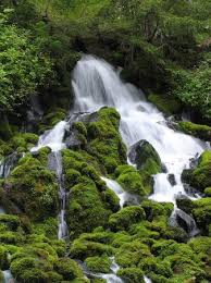 Learn more about Oregon - via Daymix