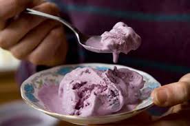 BLUEBERRY  ICE CREAM  