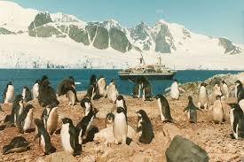 Antarctica - Travel Photos by