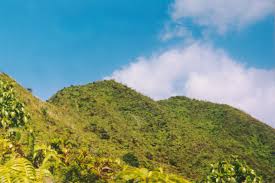 Picture of the Mt Olympus summit 