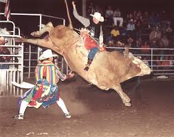   Bull Riding   Dain Livingston  riding      