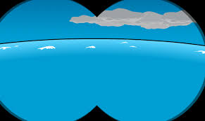       Club Penguin   Account