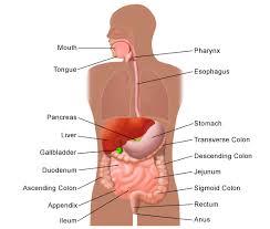 Indigestion - via Daymix