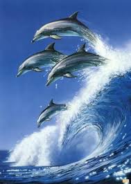      there are tons of  dolphin      