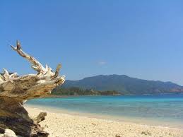 http://media-cdn.tripadvisor.com/media/photo-s/01/1f/dd/f4/flores.jpg