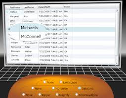 plane Silverlight demo - via Daymix