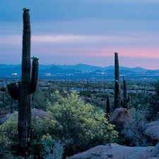 Welcome to sunny Scottsdale!