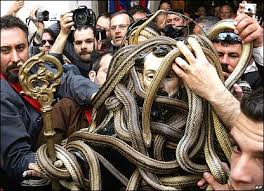 Every year snake catchers - via Daymix