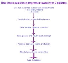 http://www.womentowomen.com/insulinresistance/images/diabetesprogression.jpg