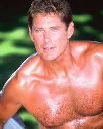 Image David Hasselhoff is being a Picture