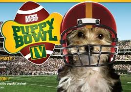 The super-awesome Puppy Bowl - via Daymix