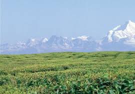scenic_darjeeling.jpg