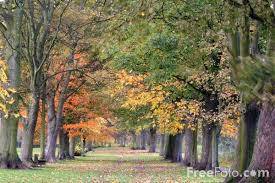 category Autumn - via Daymix