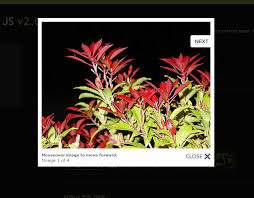 released Lightbox JS 2.0.